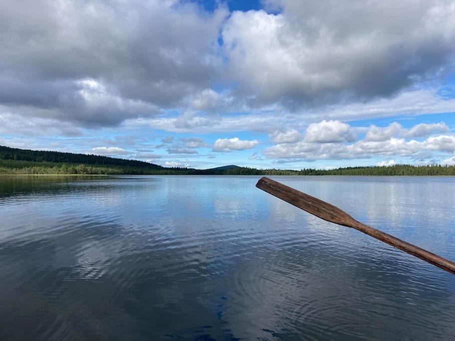 Lakeside Wilderness Cabin Jokkmokk Ngoại thất bức ảnh