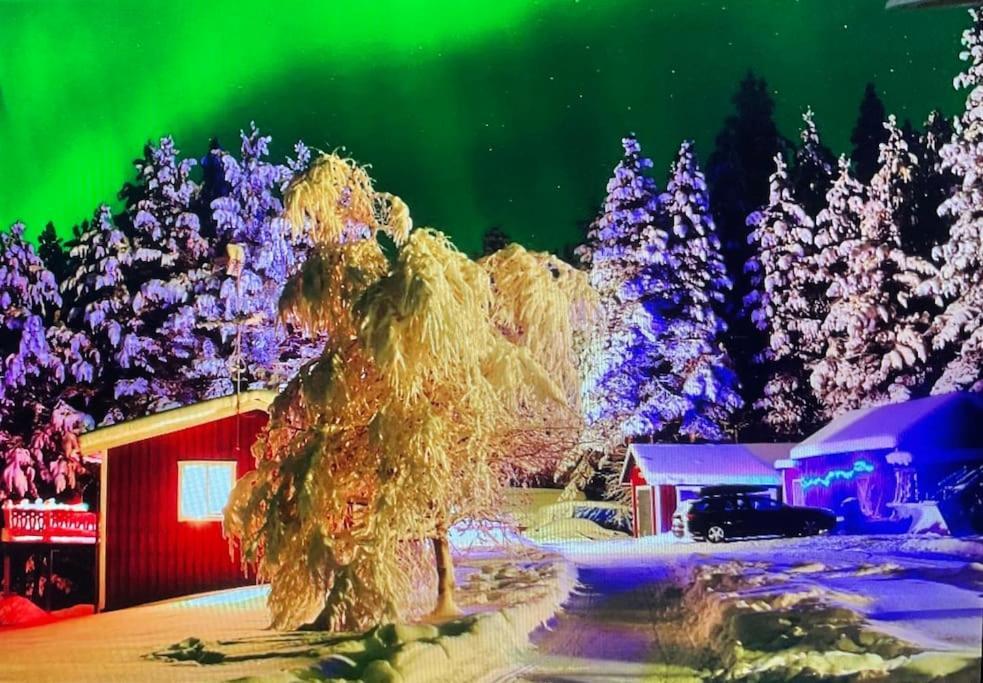 Lakeside Wilderness Cabin Jokkmokk Ngoại thất bức ảnh