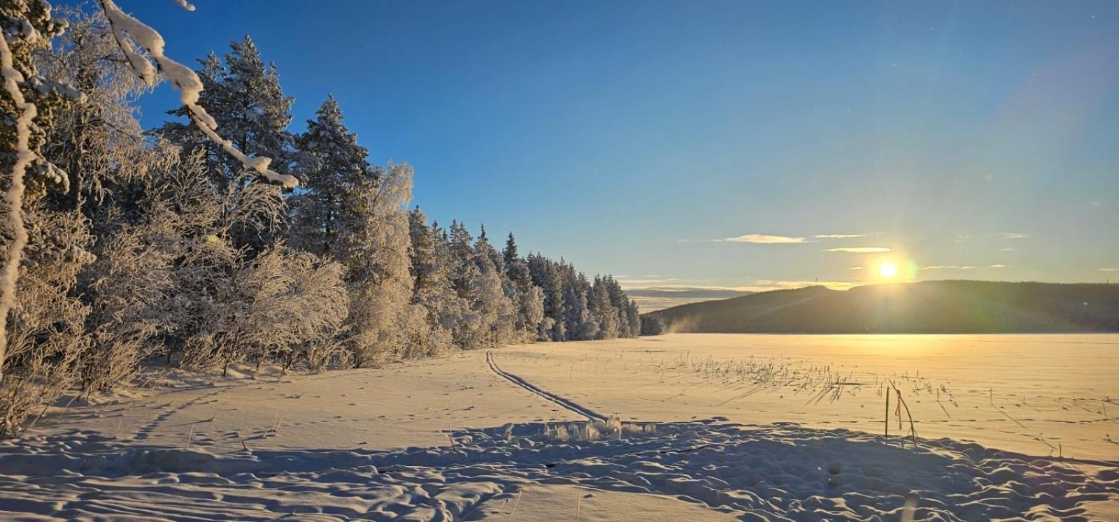 Lakeside Wilderness Cabin Jokkmokk Ngoại thất bức ảnh