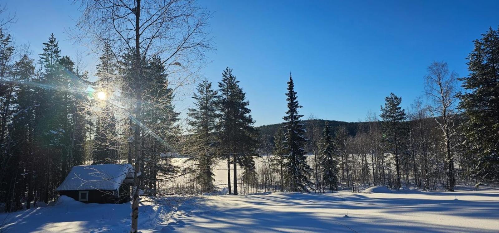 Lakeside Wilderness Cabin Jokkmokk Ngoại thất bức ảnh