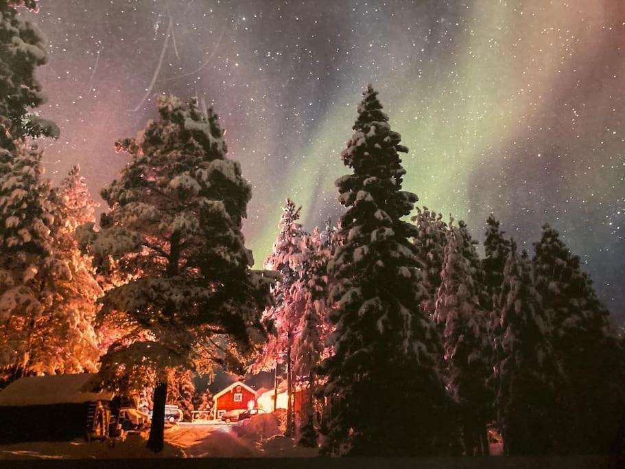 Lakeside Wilderness Cabin Jokkmokk Ngoại thất bức ảnh