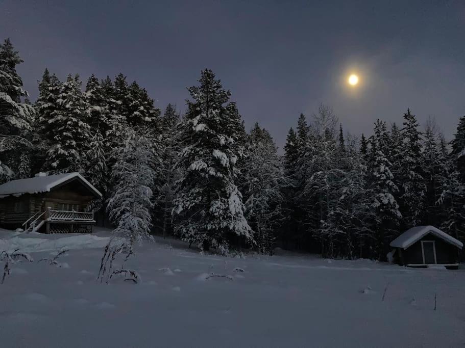 Lakeside Wilderness Cabin Jokkmokk Ngoại thất bức ảnh