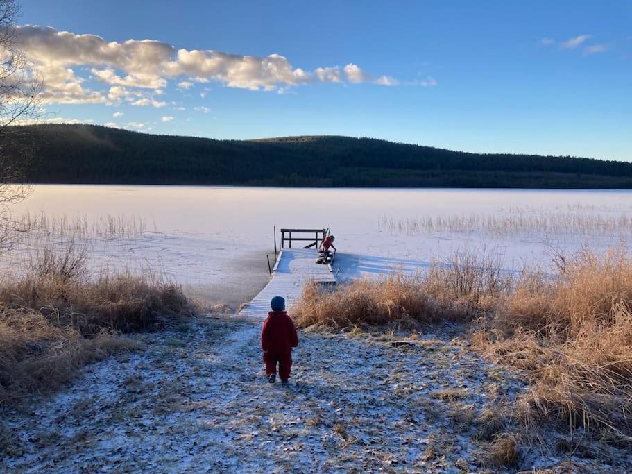 Lakeside Wilderness Cabin Jokkmokk Ngoại thất bức ảnh