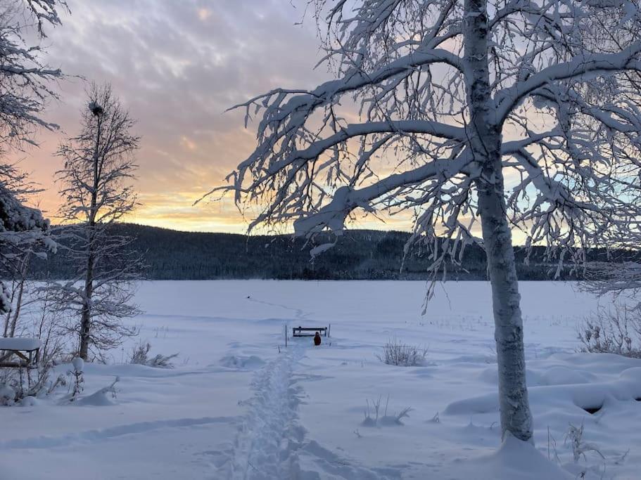 Lakeside Wilderness Cabin Jokkmokk Ngoại thất bức ảnh