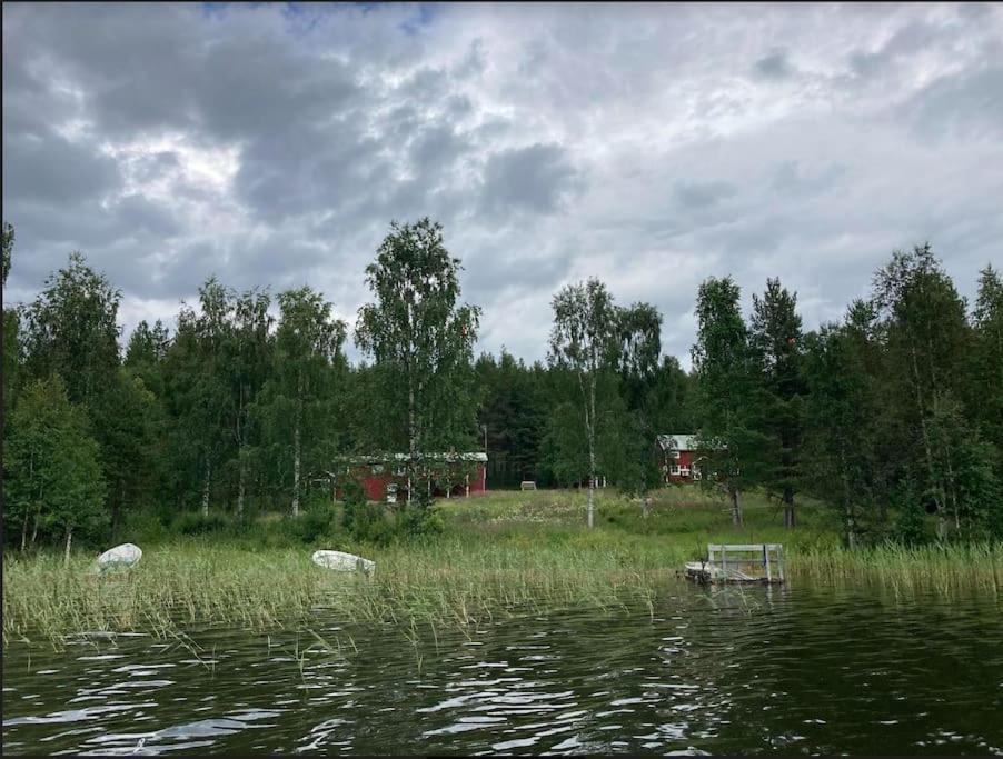 Lakeside Wilderness Cabin Jokkmokk Ngoại thất bức ảnh