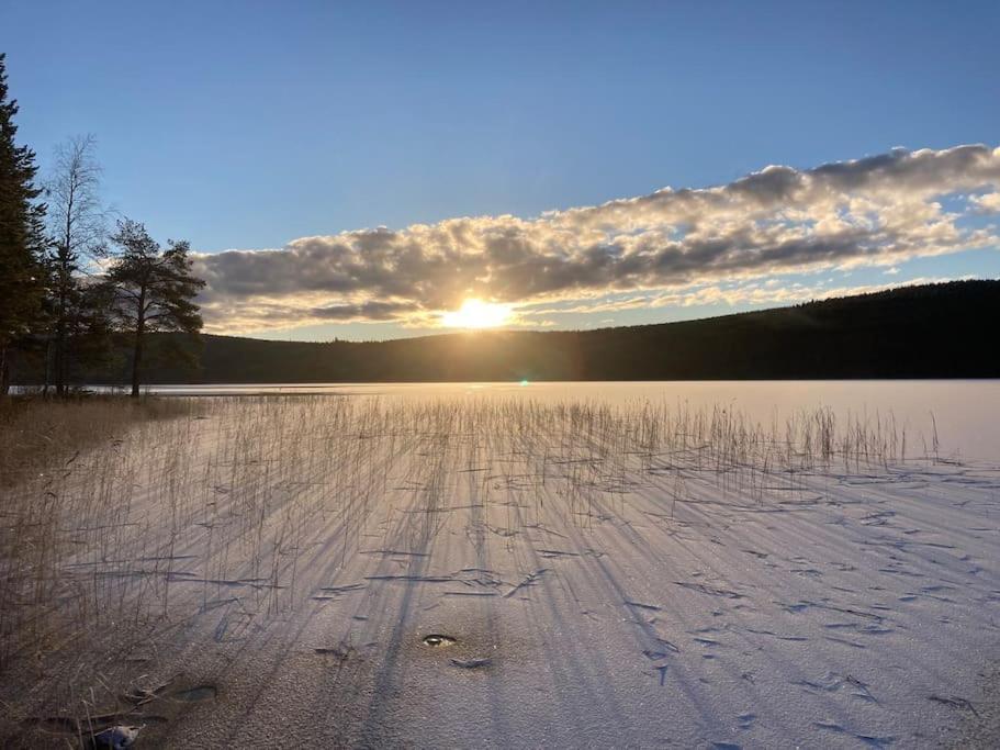 Lakeside Wilderness Cabin Jokkmokk Ngoại thất bức ảnh