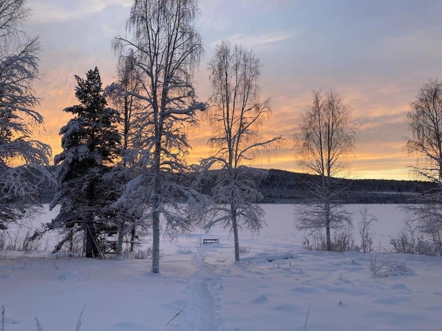 Lakeside Wilderness Cabin Jokkmokk Ngoại thất bức ảnh