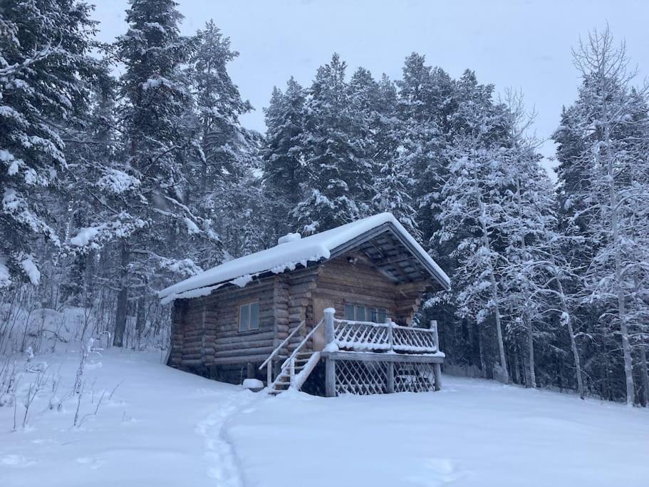 Lakeside Wilderness Cabin Jokkmokk Ngoại thất bức ảnh
