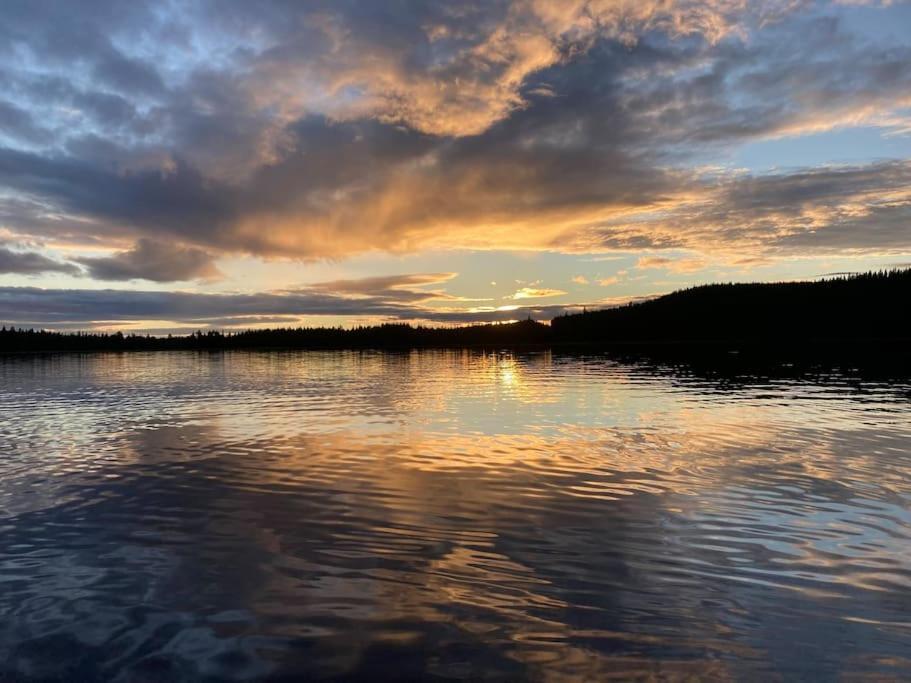 Lakeside Wilderness Cabin Jokkmokk Ngoại thất bức ảnh