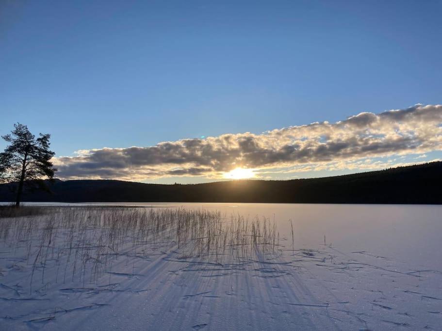 Lakeside Wilderness Cabin Jokkmokk Ngoại thất bức ảnh