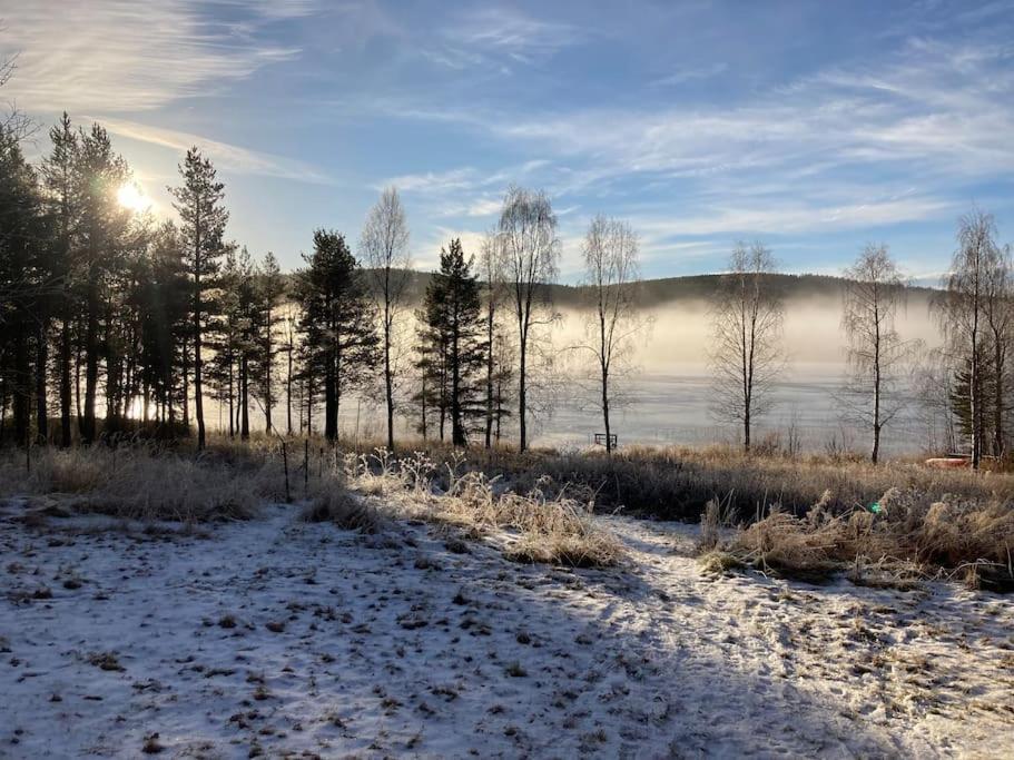 Lakeside Wilderness Cabin Jokkmokk Ngoại thất bức ảnh