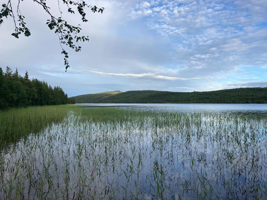 Lakeside Wilderness Cabin Jokkmokk Ngoại thất bức ảnh