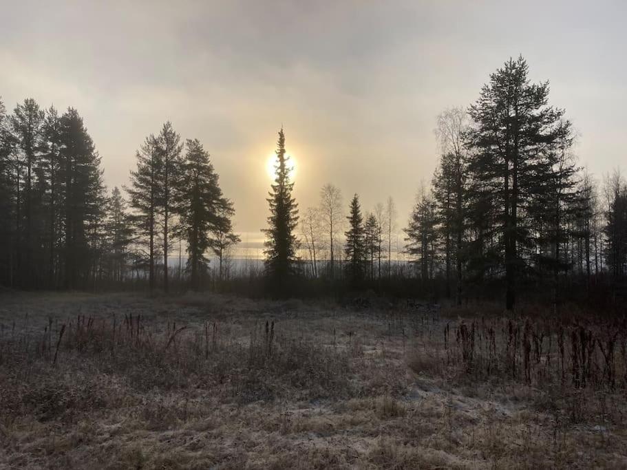 Lakeside Wilderness Cabin Jokkmokk Ngoại thất bức ảnh