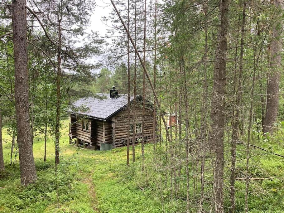 Lakeside Wilderness Cabin Jokkmokk Ngoại thất bức ảnh